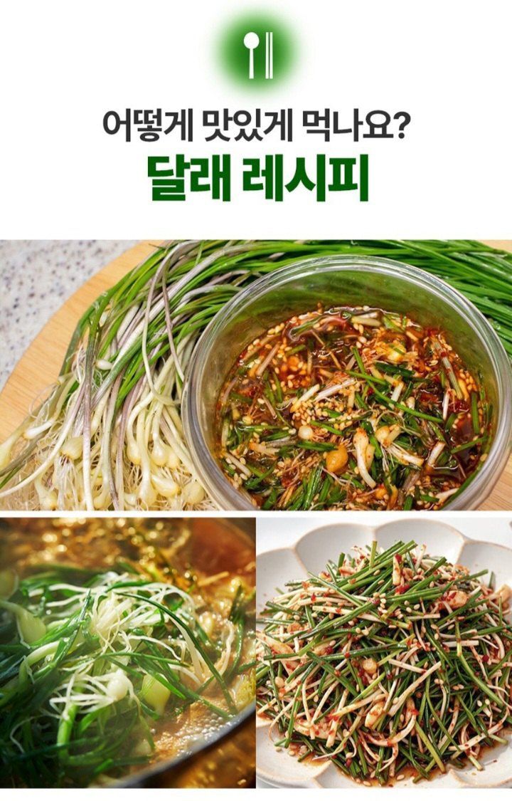 자두14488님의 장터 판매 상품 [입맛을 돋아두는 알싸한 맛 노지세척 달래] 첨부 사진