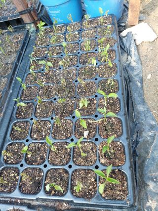 지금은 공돌이님의 자유주제 · 자유게시판 작성글 사진