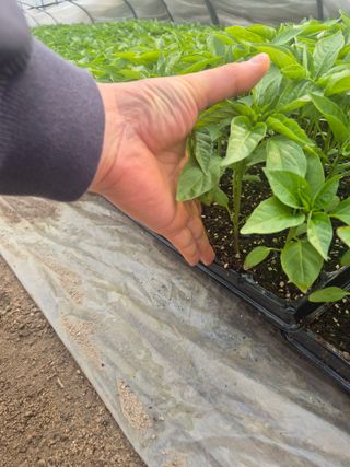 박무순님의 자유주제 · 자유게시판 작성글 사진