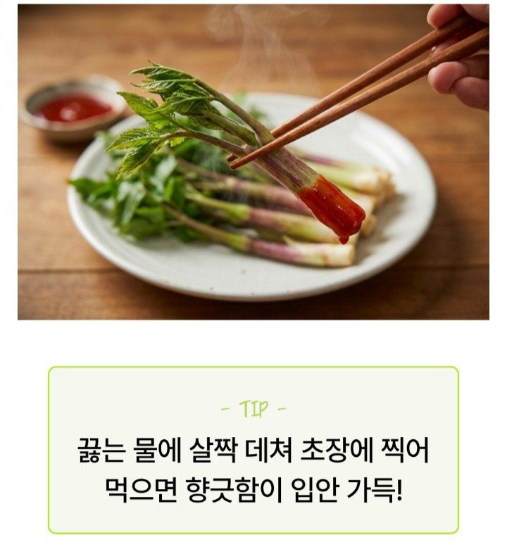 자두14488님의 장터 판매 상품 [땅드릅나물 봄나물 생두릅] 첨부 사진