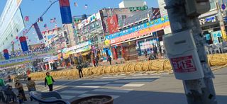 초보퍼머5도2촌준비님의 자유주제 · 사진전 작성글 사진