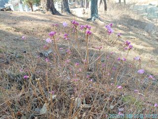 황대헌님의 자유주제 · 자유게시판 작성글 사진