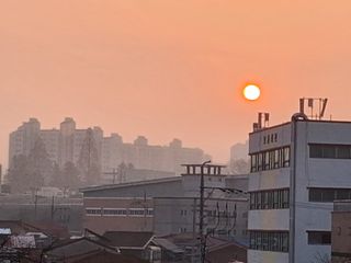 MSG0074님의 자유주제 · 자유게시판 작성글 사진