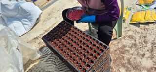 음두임님의 자유주제 · 자유게시판 작성글 사진