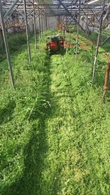 모포리흰개 님의 자유주제·자유게시판 작성글 사진