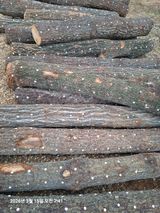 팜모닝 · 게시글 이미지