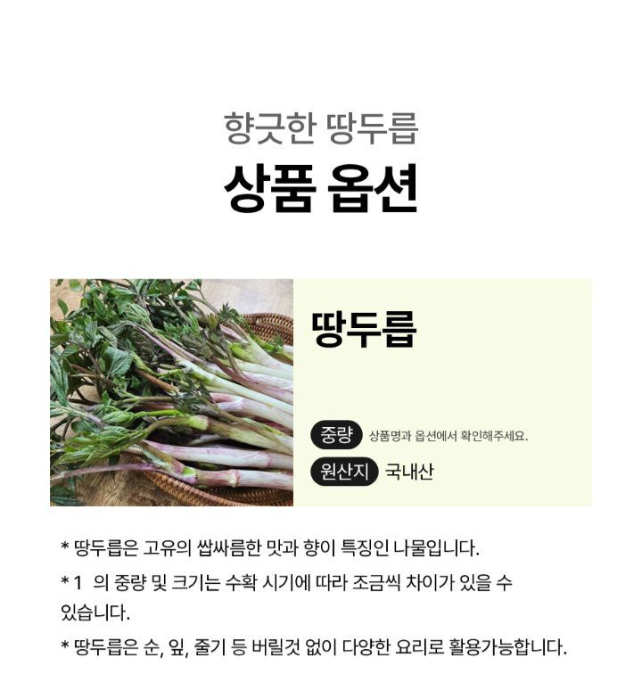 자두14488님의 장터 판매 상품 [땅드릅나물 봄나물 생두릅] 첨부 사진