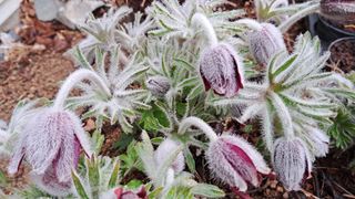 이정운님의 자유주제 · 자유게시판 작성글 사진