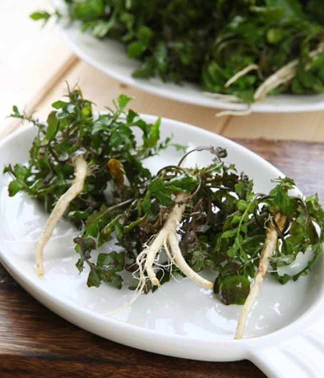 자두14488님의 장터 판매 상품 [노지 냉이 1차세척 300g 500g 1kg] 첨부 사진