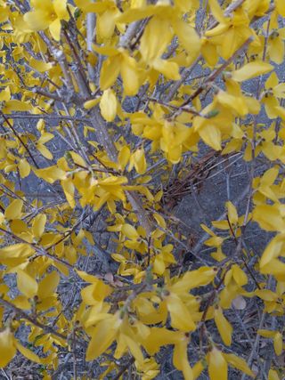 주흘산인님의 자유주제 · 자유게시판 작성글 사진