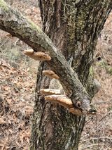 들깨9855님의 자유주제·자유게시판 작성글 사진