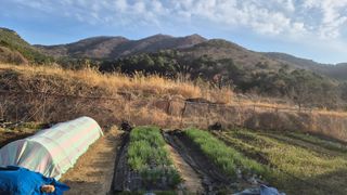 김형준님의 자유주제 · 자유게시판 작성글 사진