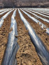 회사원&초보농사꾼님의 자유주제·자유게시판 작성글 사진