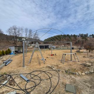 인생을사노라면님의 자유주제·자유게시판 작성글 사진