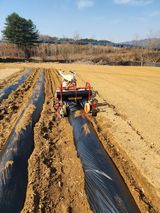 회사원&초보농사꾼님의 자유주제·자유게시판 작성글 사진