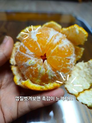 새달귤농장님의 작성글 사진