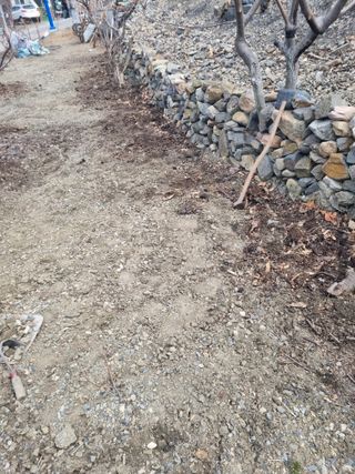 김용대님의 자유주제 · 자유게시판 작성글 사진