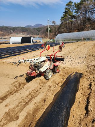 회사원&초보농사꾼님의 자유주제·자유게시판 작성글 사진