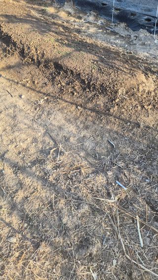 김형준님의 자유주제 · 자유게시판 작성글 사진