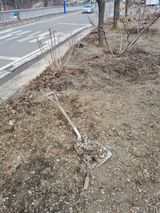 팜모닝 자유주제·자유게시판 게시글 이미지