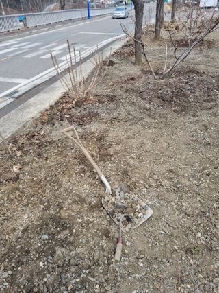 김용대님의 자유주제 · 자유게시판 작성글 사진