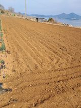 팜모닝 자유주제·자유게시판 게시글 이미지