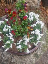 팜모닝 자유주제·자유게시판 게시글 이미지