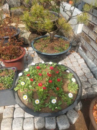 재연농장님의 자유주제 · 자유게시판 작성글 사진