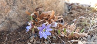 남궁봉님의 자유주제 · 사진전 작성글 사진