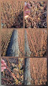 팜모닝 자유주제·자유게시판 게시글 이미지