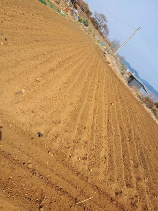 윤형곤님의 자유주제 · 자유게시판 작성글 사진