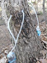 팜모닝 자유주제·자유게시판 게시글 이미지