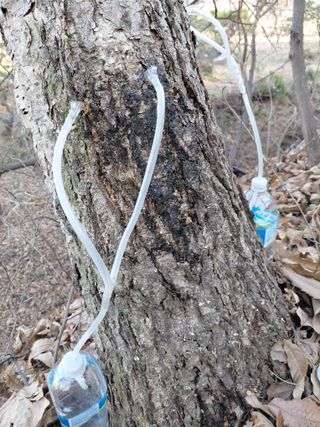 좋은인연원님의 자유주제 · 자유게시판 작성글 사진