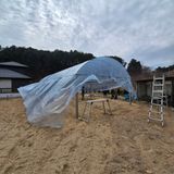 인생을사노라면님의 자유주제·자유게시판 작성글 사진