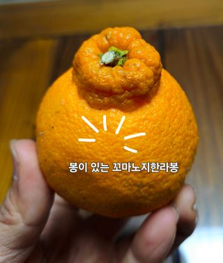 새달귤농장님의 작성글 사진