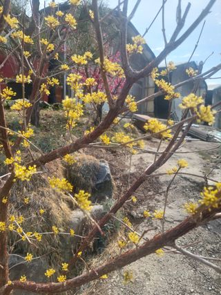 재연농장님의 자유주제 · 자유게시판 작성글 사진