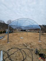 인생을사노라면님의 자유주제·자유게시판 작성글 사진