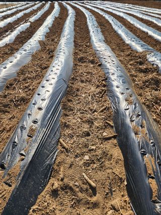 회사원&초보농사꾼님의 자유주제 · 자유게시판 작성글 사진