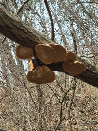 들깨9855님의 자유주제 · 자유게시판 작성글 사진