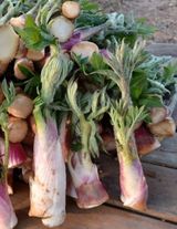 김종덕님의 자유주제·자유게시판 작성글 사진