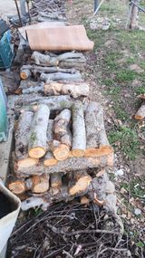 유혜영님의 자유주제·자유게시판 작성글 사진