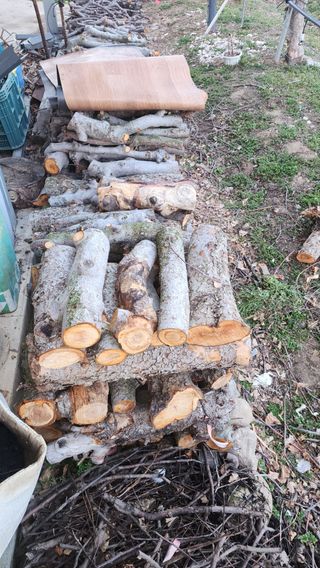 유혜영님의 자유주제 · 자유게시판 작성글 사진