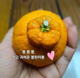 팜모닝 · 게시글 이미지