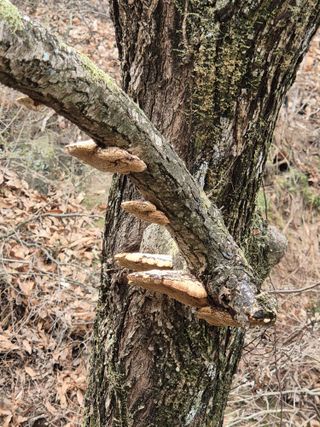 들깨9855님의 자유주제 · 자유게시판 작성글 사진