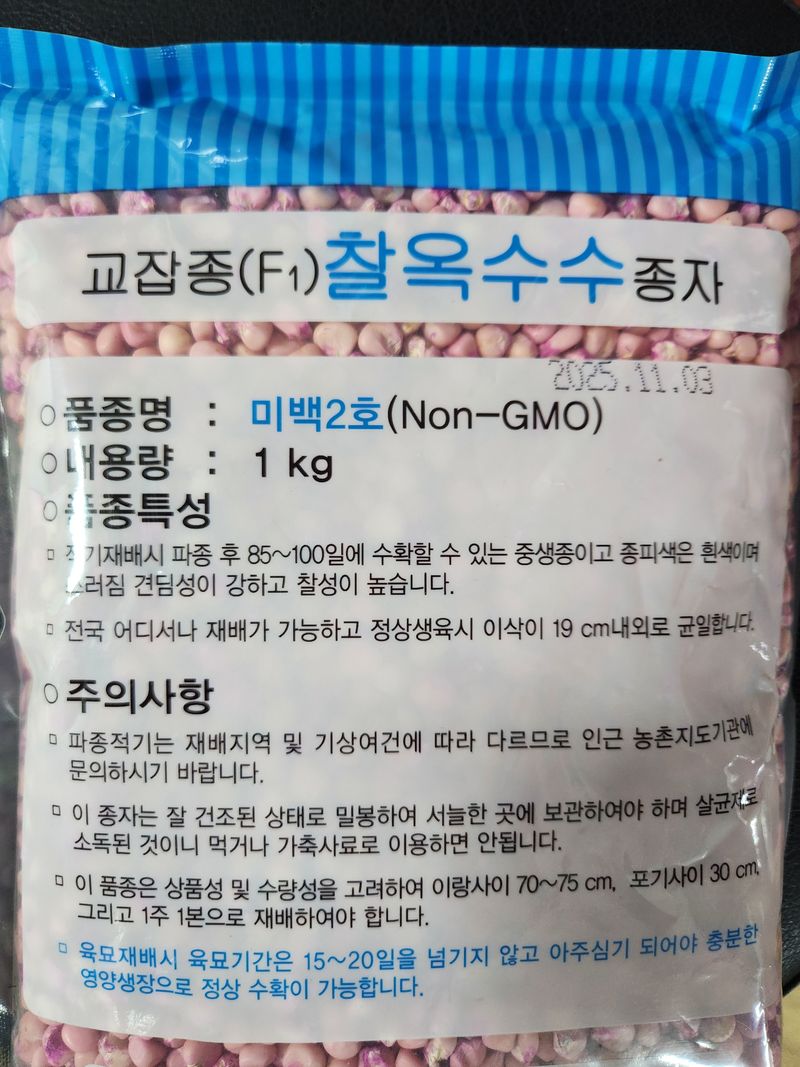 안산제일농약사님의 장터 판매 상품 [미백2호찰옥수수 모종 1판 예약접수중 300판] 첨부 사진