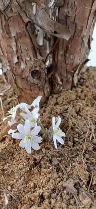 남궁봉님의 자유주제 · 사진전 작성글 사진