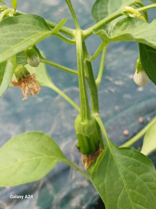 삼부자님의 자유주제 · 자유게시판 작성글 사진