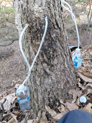 좋은인연원님의 자유주제 · 자유게시판 작성글 사진