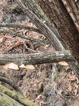 들깨9855님의 자유주제·자유게시판 작성글 사진