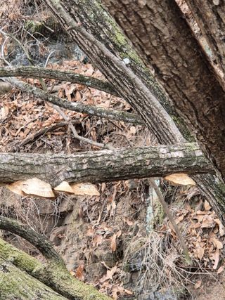 들깨9855님의 자유주제 · 자유게시판 작성글 사진